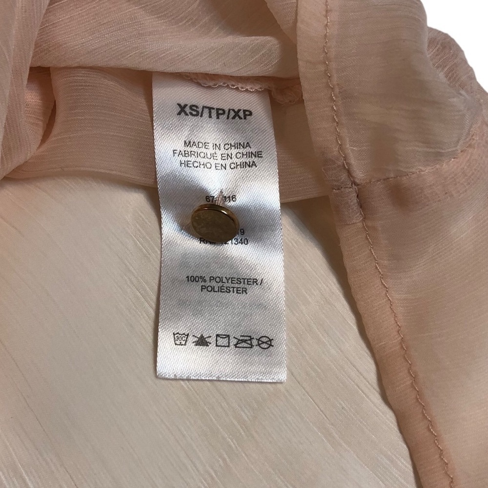 Blush Gauzy Chiffon Sheer Tunic Blouse with Buttons and Pleats​​​​ - Picture 14 of 16